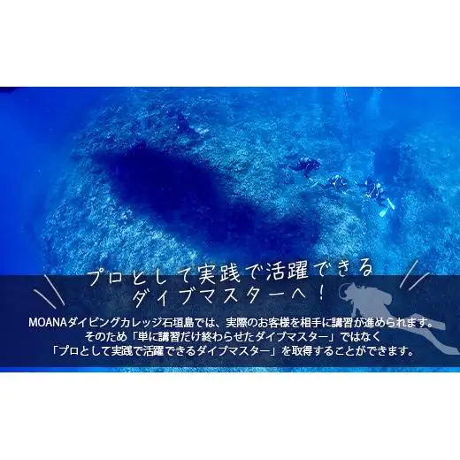 【ダイビングライセンス】PADIダイブマスターコース 7～8日間 1名様 MO-5