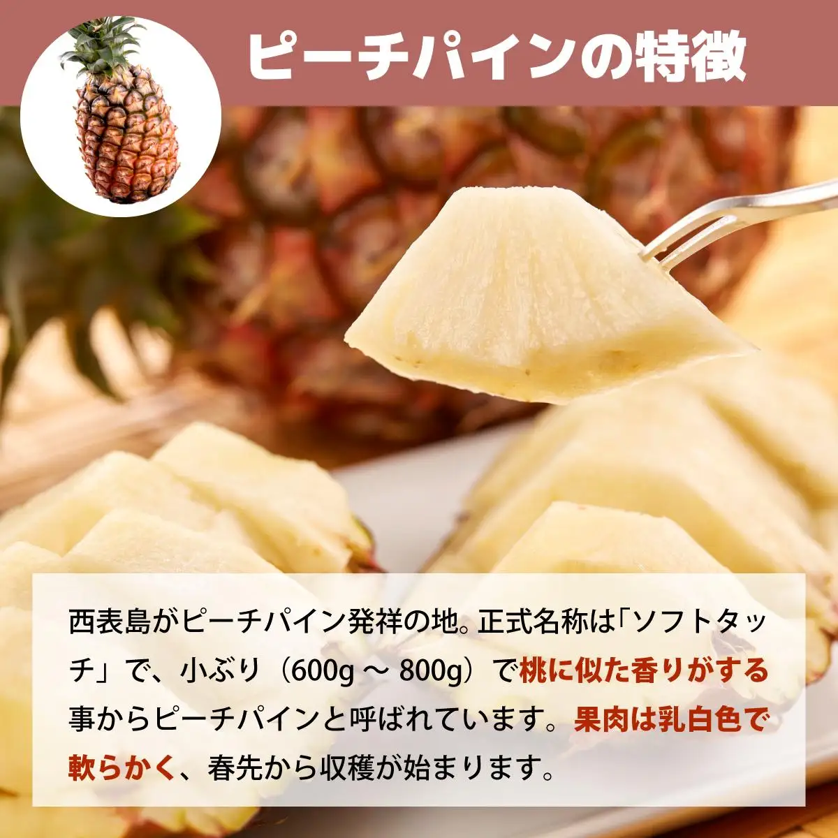 【（全3回発送）】南国の美味しさを！パイナップル 定期便 B