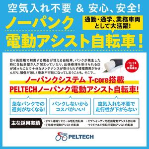 電動自転車 PELTECH（ペルテック）ノーパンク 折り畳み電動アシスト自転車 20インチ 折り畳み外装6段変速（TDN-206LN）【簡易組立必要】【ブラック】