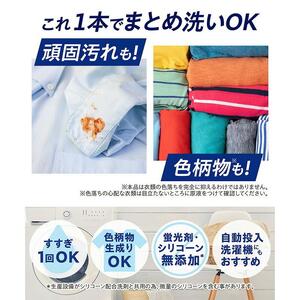ライオン 洗濯洗剤 NANOX one PRO 替特大セット つめかえ用 740g×6袋 洗剤