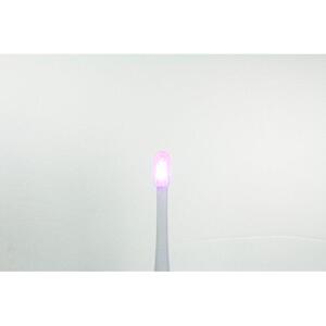 プラチナムラボ　プロテクトフォース スタンダード　LEDライト　ホームホワイトニング