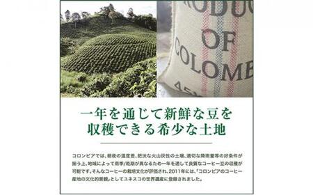 【豆】#903 コロンビア エキセルソ Qグレード コーヒー豆 310g 当日焙煎 大山珈琲