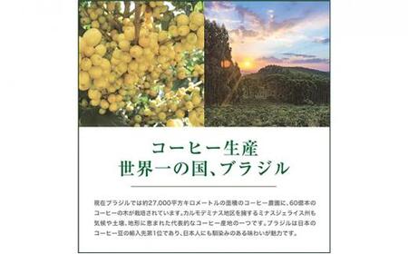 珈琲 スペシャルティーコーヒー豆【豆のまま】ブラジル カルモデミナス Qグレード 600g