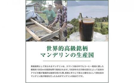 珈琲 スペシャルティーコーヒー豆【豆のまま】#906  インドネシア・マンデリン ミトラ G1 600g