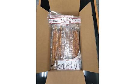 堺あなご専門 松井泉　あなご屋社長におまかせ 焼あなご 約750g（7～14尾）