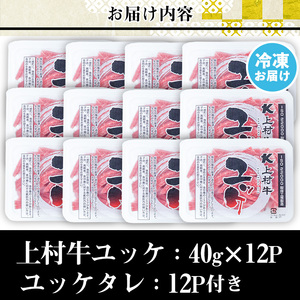 No.1100-B 自慢の自社ブランド牛「上村牛ユッケ」(12人前・40g×12P)国産 九州産 牛肉 生食 小分け 冷凍 ギフト 贈答 頒布会 定期便 数量限定 寄附額改定【カミチク】