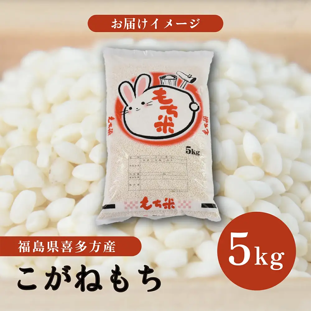 令和7年度産会津喜多方産こがねもち5kg×1袋　【07208-0351】
