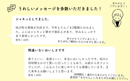 JA15 りんご サンふじ 約5kg / 2026年11月下旬～12月上旬ごろ配送予定 // 長野県 南信州 贈答 ギフト お歳暮 ふじ フジ さんふじ 新鮮 林檎 リンゴ サンフジ