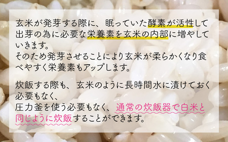 令和7年産 発芽玄米 コシヒカリ「特選」 2kg×2袋（計4kg）こしひかり 玄米コシヒカリ 米 [B-2948]