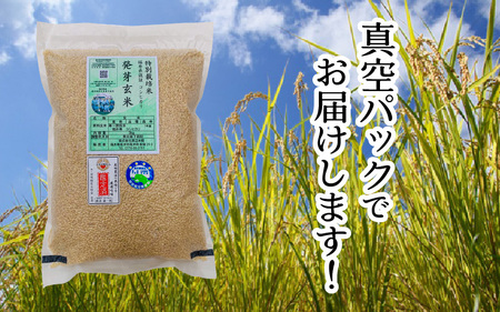 【令和7年産】発芽玄米 コシヒカリ「特選」特別栽培米使用 3kg×5袋（計15kg）【米 こしひかり 玄米 ギャバ GABA 特別栽培 食物繊維 栄養 真空パック ごはん ご飯 おいしい ふるさと納税米】 [H-2909]