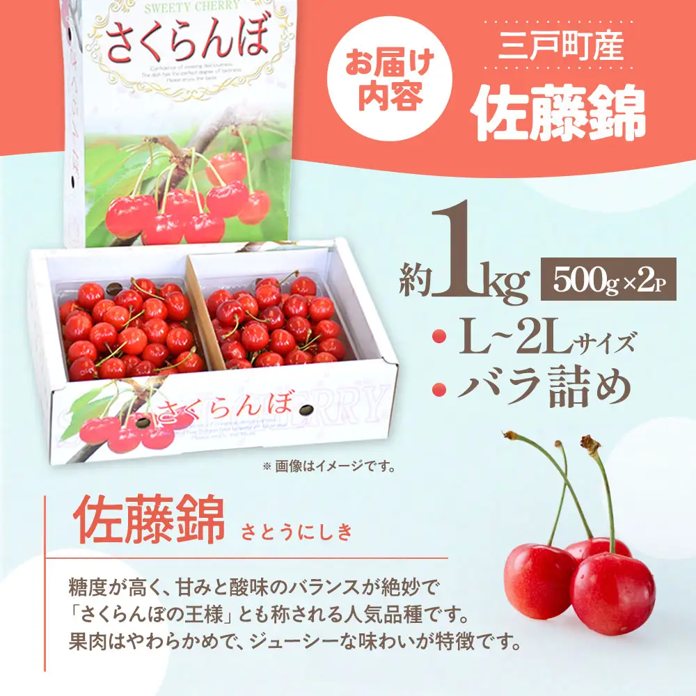 さくらんぼ 佐藤錦 1kg 青森 さくらんぼ 先行予約