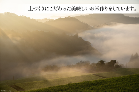 味噌 手作り 大わらじの里 宮谷(国内産大豆使用) 1kg×2個 計2kg [宮谷営農組合瑞穂ファーム 高知県 津野町 26aq0003]