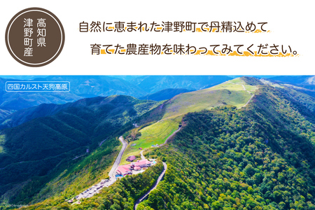 「風車のまちの台所」 季節の農産物 5～7種類 [有限会社津野町ふるさとセンター 高知県 津野町 26ar0007]