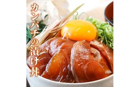 訳あり海鮮漬け丼（タイ12P・カンパチ8P）セット 漬け丼 漬け 鯛 かんぱち 勘八 白身魚 食べ比べ 海鮮 魚 冷凍 食品 保存食 小分け 高知 土佐 海鮮丼 漬け丼【企業組合　宇佐もん工房】 [BQAB030]