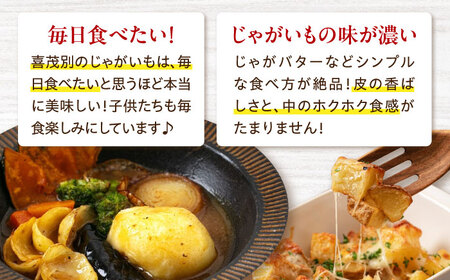 【9月下旬以降順次発送】キタアカリ 10kg じゃがいも [AJAK010]