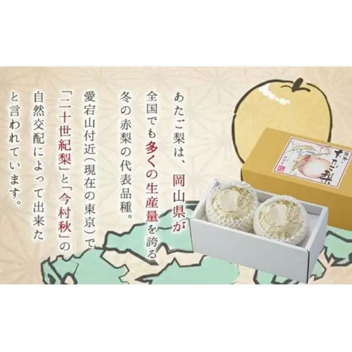 岡山県産 あたご 梨 2玉 合計約1.8kg 梨 なし 果物 フルーツ 2026年