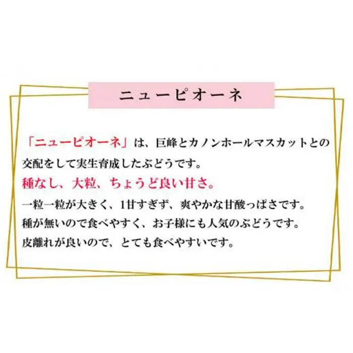 ニュー　ピオーネ 約2kg 3～6房 ｜ ピオーネ
