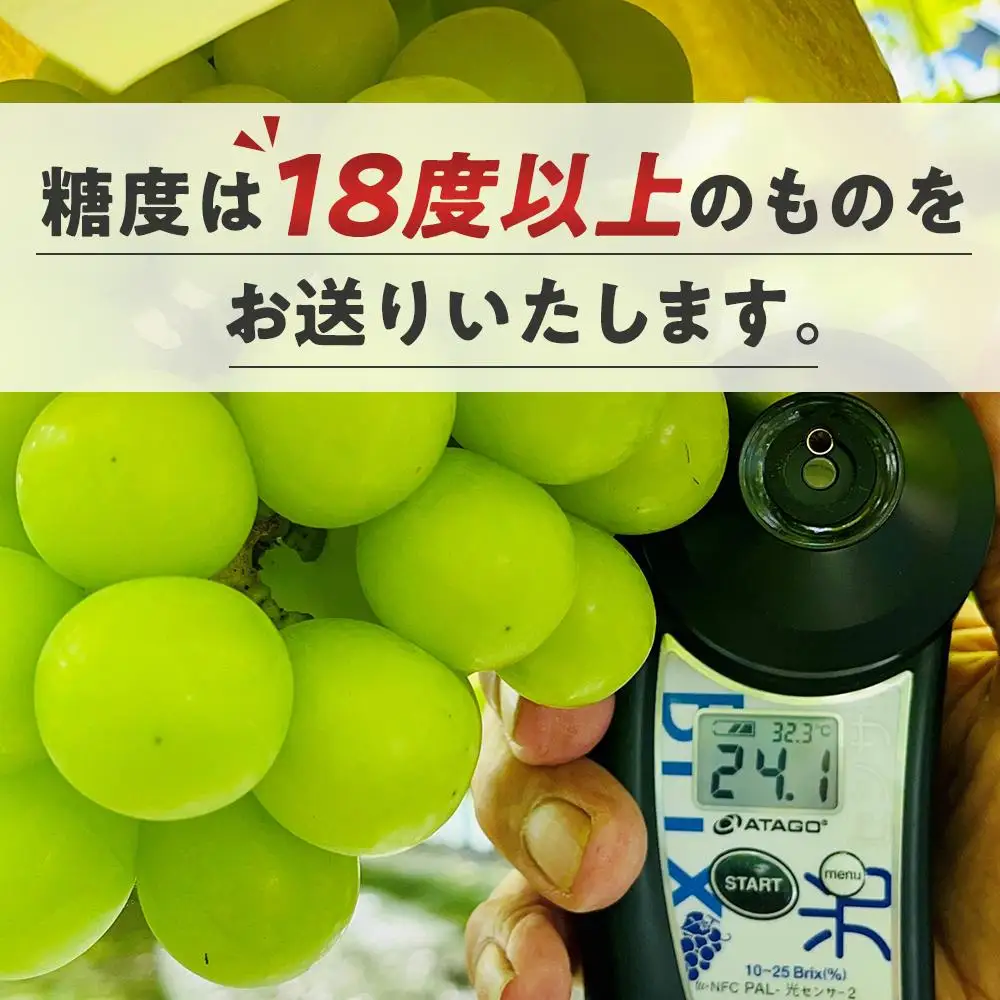 ぶどう 2026年  シャインマスカット 大粒厳選秀品18粒 宝石箱  農林大臣賞2回受賞 ギフト 贈答用 贈り物 岡山 果物 フルーツ  採りたて発送 農家直送 数量限定 新鮮 水晶ハート化粧箱