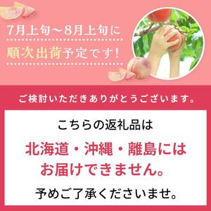 桃 2026年 岡山 白桃 5～6玉入 約1.5kg 岡山市一宮地区産 もも モモ フルーツ 果物 ギフト