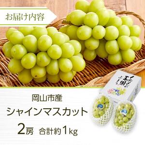 ぶどう 2026年 シャイン マスカット 2房 合計約1kg  種無し ブドウ 葡萄 岡山市産 国産 フルーツ 果物 渡邊農園