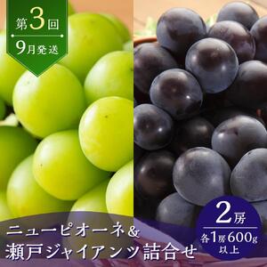定期 2026年  フルーツ 王国 岡山の果物 定期便 6回コース 桃 ぶどう 梨 岡山県産 国産 果物 ギフト