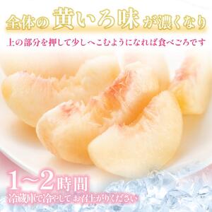 桃 2026年  岡山県産 家庭用 白桃 1kg以上（4～6玉） 品種おまかせ＜6月下旬以降発送＞
