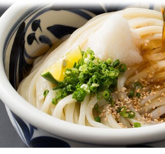 純生讃岐うどん（10人前、つゆ付）2セット【B-19】