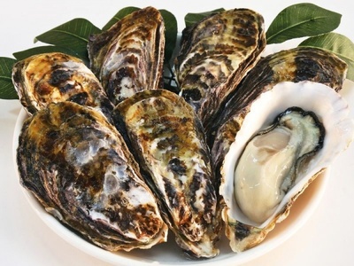殻付活牡蠣カンカン焼セット 4kg (加熱用)【予約受付中：旬にお届け！2026年2月末頃から期間限定出荷！】【B-7】