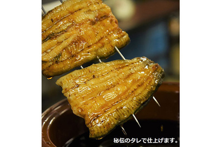 うなぎ うなぎ蒲焼き 160～200g× 2尾 (タレ・山椒付き) 仕出しのせきや 鰻 土用の丑の日 国産
