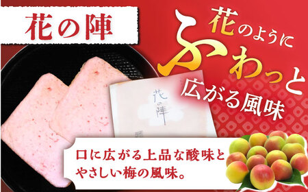 【6回定期便】夢本陣 10枚（2種×5枚） /恵比須堂 [UBQ011] 煎餅 せんべい