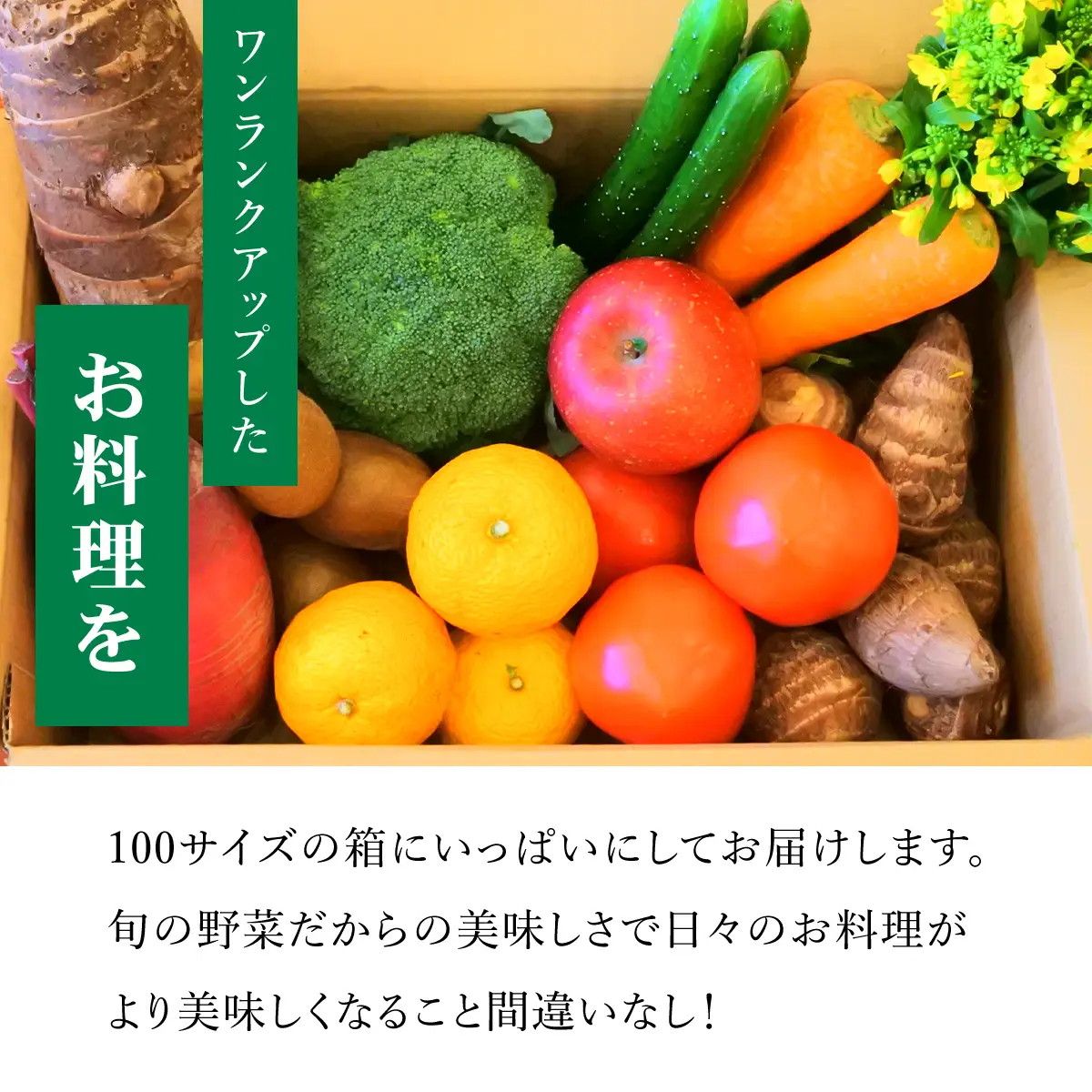 四季折々の新鮮野菜詰め合わせ 旬をお届け! 【8種類以上】 ANAR007