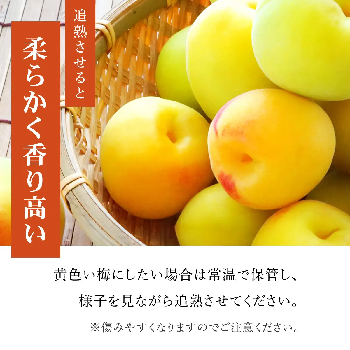 【2026年発送分先行予約】旬をお届け!完熟梅【Lサイズ5kg】 ANAR013