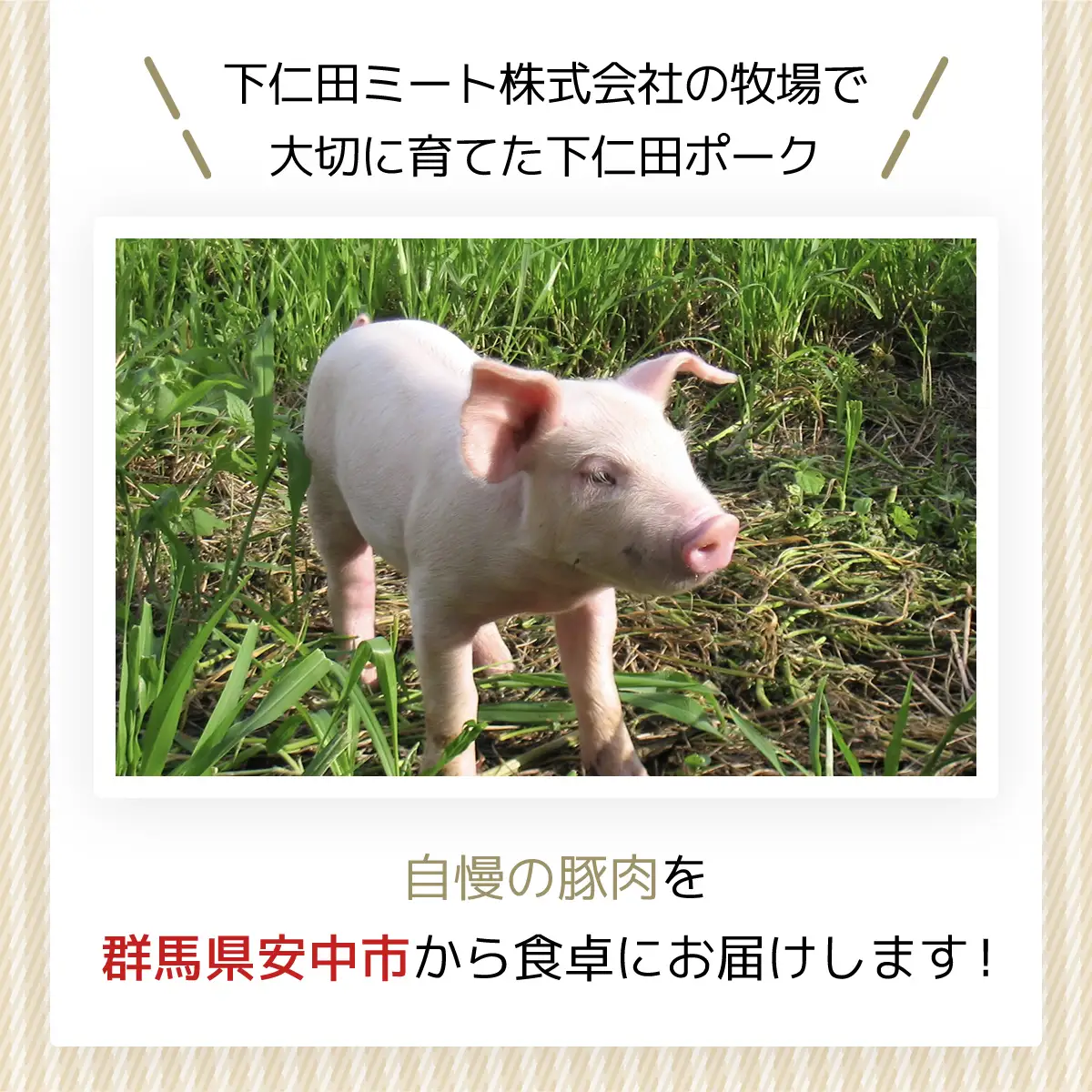 しもにた肉焼売4個入8P ANT011