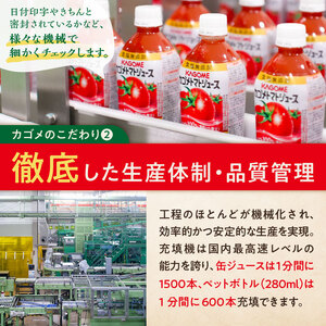 カゴメ　野菜生活100(マンゴーサラダ)720ml PET×15本【 飲料 野菜ジュース 栃木県 那須塩原市 】 ns001-027