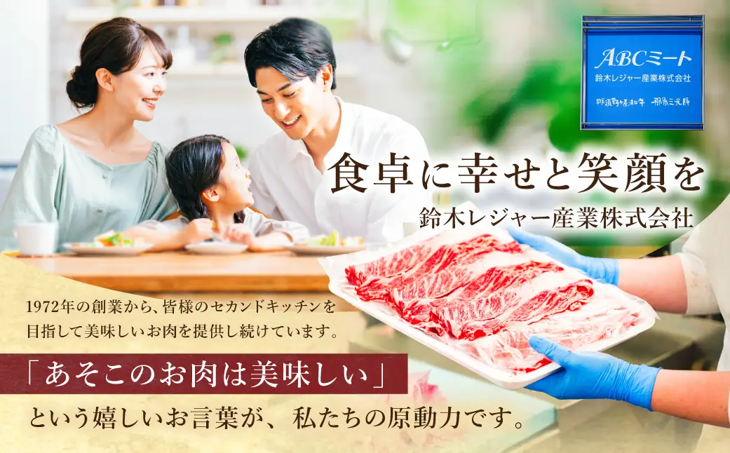 低糖質・無添加（保存料・酸化防止剤）ヘルシーハンバーグ ns004-009