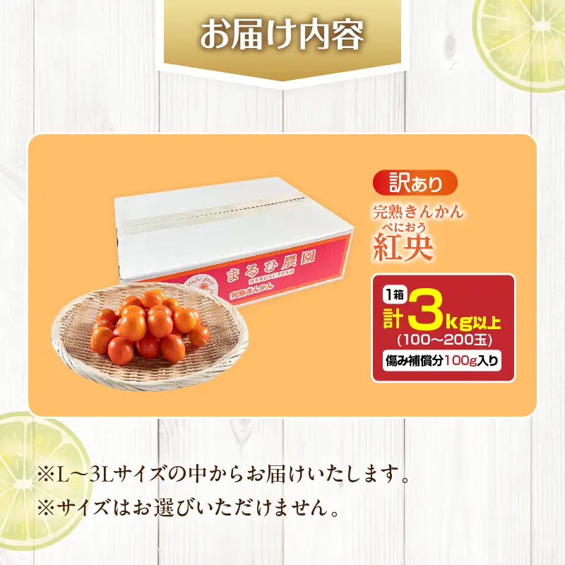訳あり 先行予約 完熟 きんかん 紅央 計3kg以上 傷み補償分入り フルーツ 果物_BAV7-25