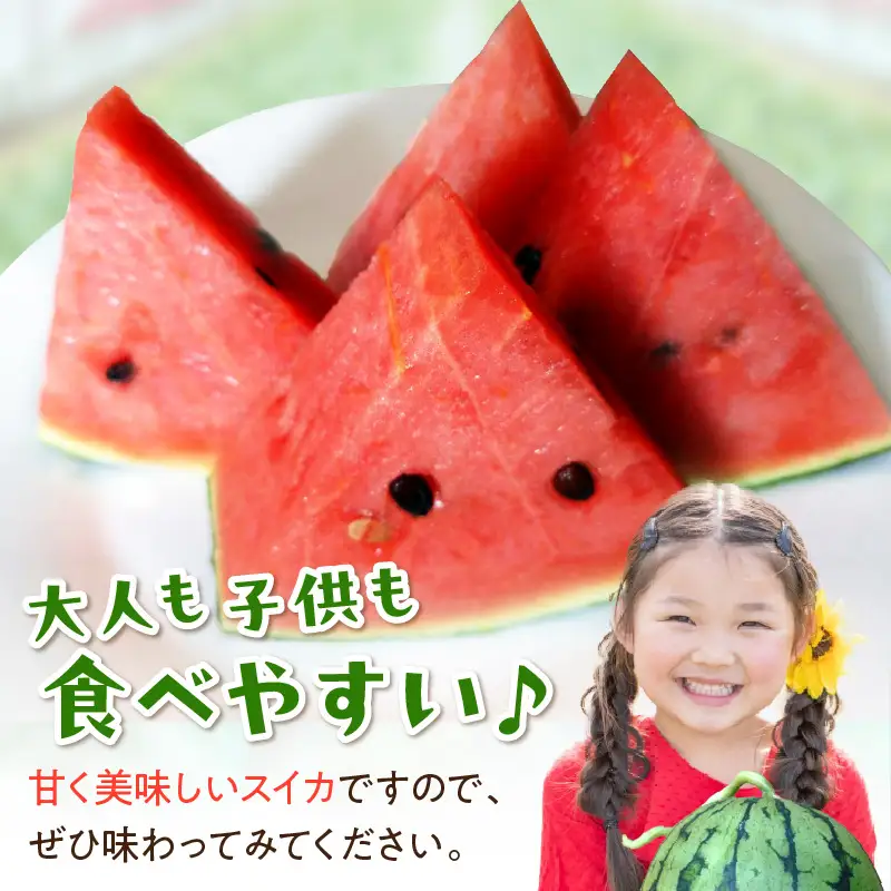【先行予約／数量限定100】スイカ にしまるスイカ 秀品 1玉｜2026年6月中旬から発送