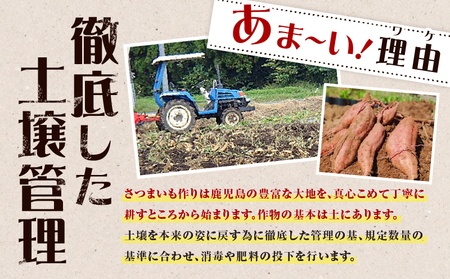 焼き芋 さつまいも 紅はるか 生芋 4kg 【畑の金貨】 K181-006