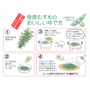 枝豆 新潟 令和8年産 弥彦村産 弥彦むすめ 枝付き枝豆 2把(約1kg) | 枝豆 えだまめ 新潟県