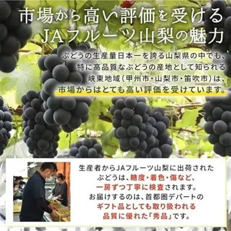 【発送月固定定期便】JAフルーツ山梨定期便 全3回【配送不可地域：離島・沖縄県】【4012439】