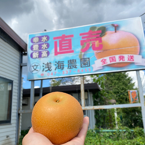 浅海農園　市川のブランド梨　豊水3kg　【12203-0087】