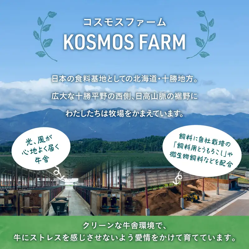 十勝清水コスモスファーム 幸せ レトルトカレー 200g×6食 | 北海道清水町 レトルトカレー カレーライス ご当地カレー