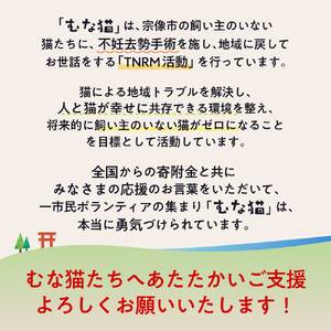 【返礼品なし】「むな猫（旧：てくてくさくらねこ）」　地域猫活動支援【むな猫】_HA1118