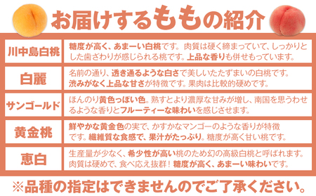 もも 桃2品種詰め合わせセット 2kg　桃