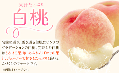 【先行予約】白桃&シャインマスカットセット 小【配送不可地域あり】
