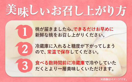 黄金桃 2kg　もも 黄桃