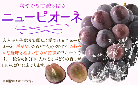 白桃&シャインマスカット&ニューピオーネセット小 【配送不可地域あり】