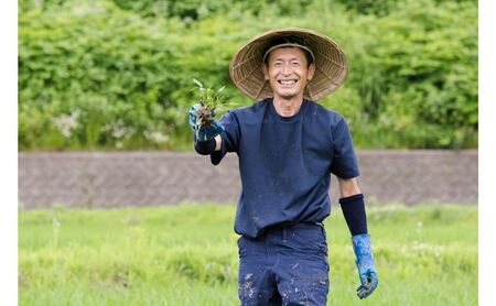 江戸伝承絶品米２Kg お米 コメ 
