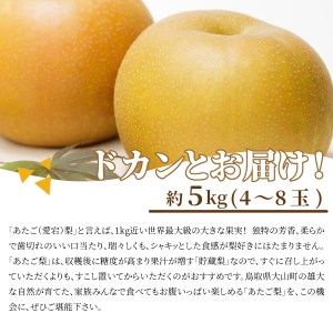 DS-10　あたご梨 5kg