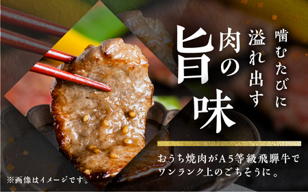 【ふるなび限定】定期便 飛騨牛 5回 定期便 トキノ屋食品 FN-Limited-PR